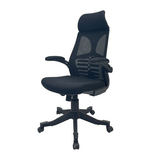 B-547 Skelton Executive Revolving Chair With Moveable Arms & Head Rest