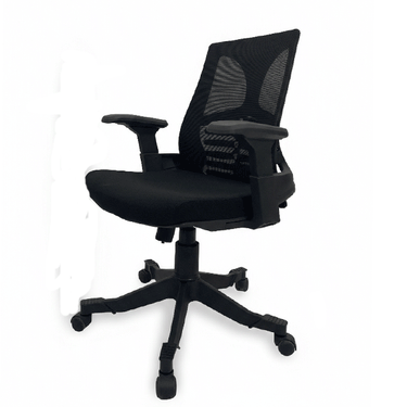 B-546 Skelton Executive Low Back Revolving Chair With Fixed Arms