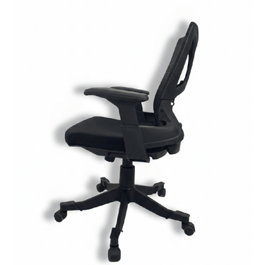 B-546 Skelton Executive Low Back Revolving Chair With Fixed Arms