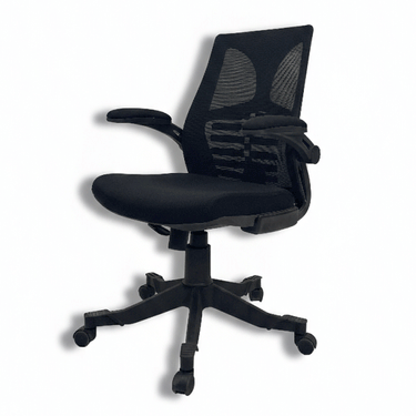 B-548 Skelton Executive Revolving Chair With Moveable Arms