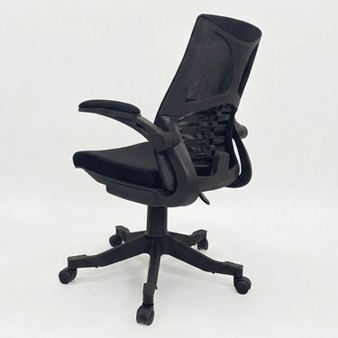 B-548 Skelton Executive Revolving Chair With Moveable Arms
