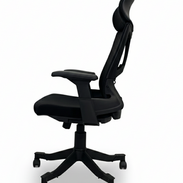 B-545 Skelton Executive Revolving Chair With Fixed Arms & Head Rest