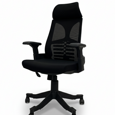 B-545 Skelton Executive Revolving Chair With Fixed Arms & Head Rest